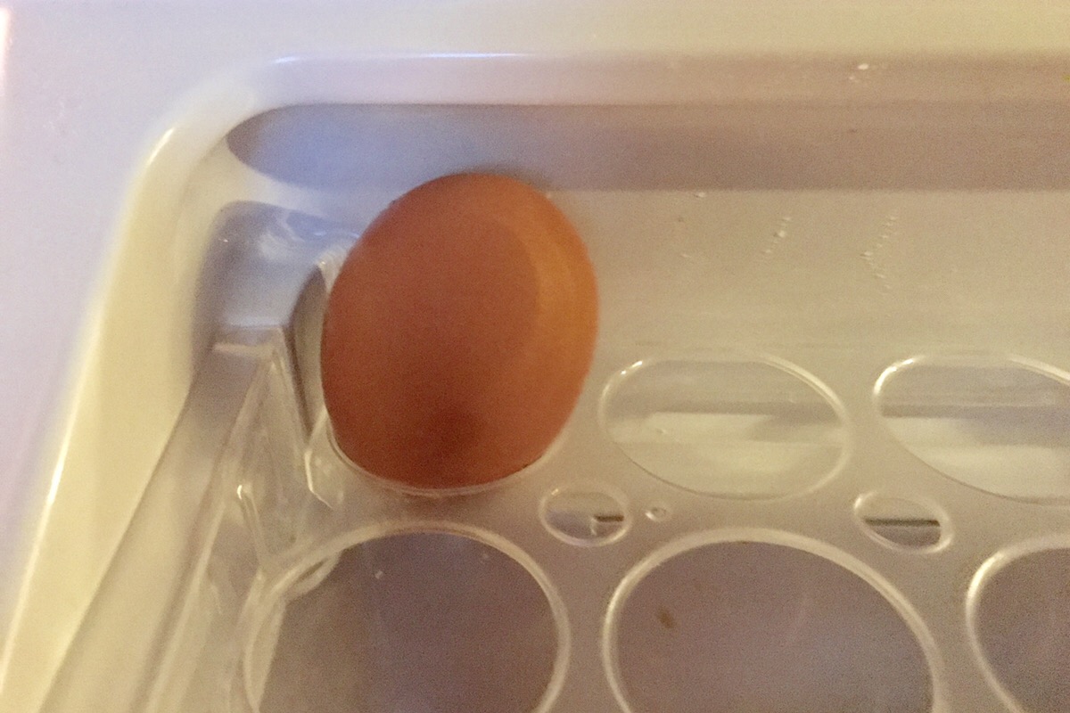 奇跡の一つ卵