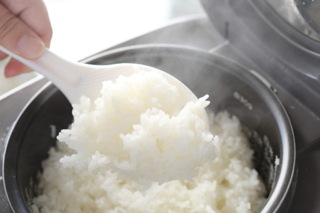 【温泉水99】お米比較